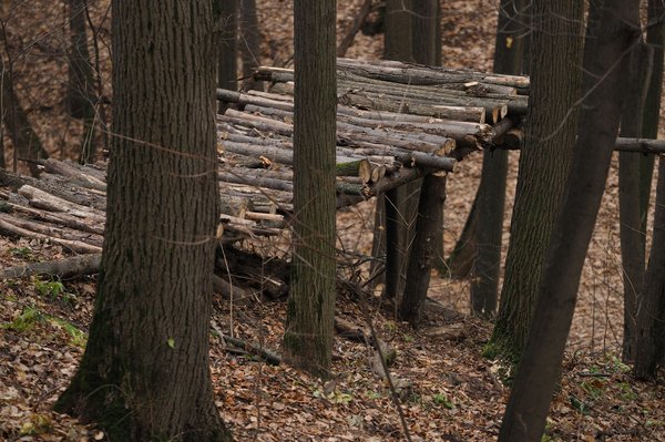 En quoi l'ajout d'éléments de jeu de survie peut-il améliorer l'expérience dans un jeu de science-fiction ?